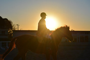 夕日と馬