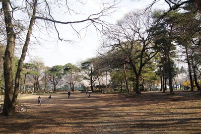 清瀬市の公園