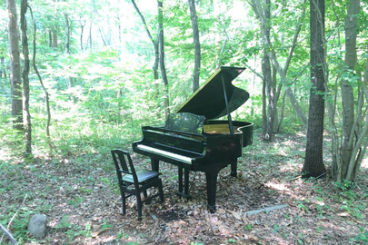 森の中のグランドピアノ