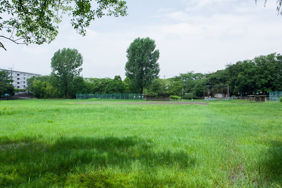 東京都 白山公園、芝生