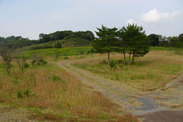 茨城県 かすみの郷公園<br>収穫の森