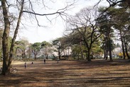 東京都 清瀬市中央公園