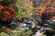 東京都 清流ガーデン<br>澤乃井園で散策