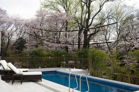 プールと桜