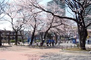 東京都 葛飾区の渋江公園、<br>広場