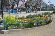 渋江公園