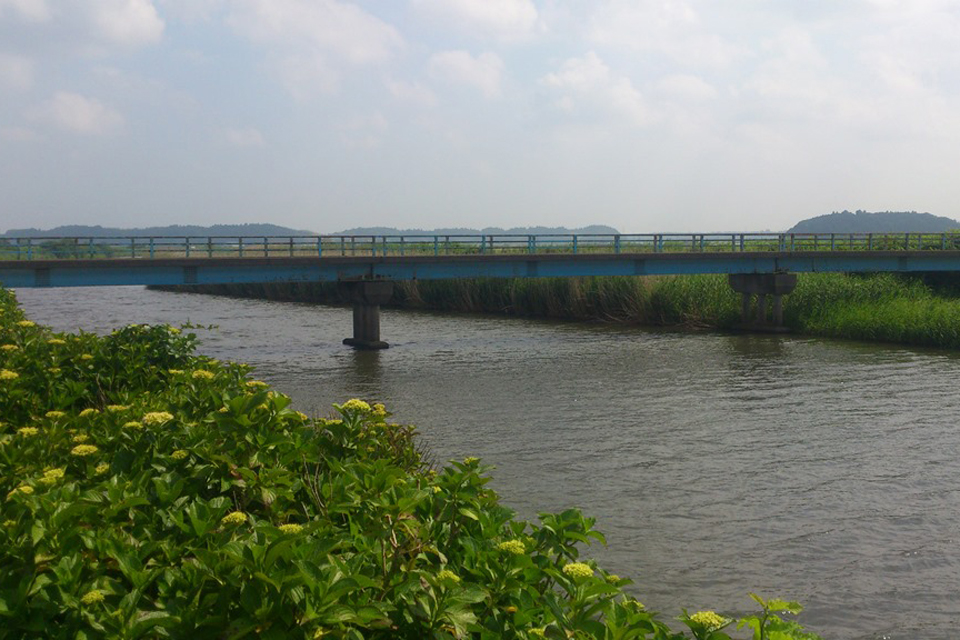 千葉県 新竹橋全景