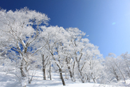 群馬県 たんばらスキーパーク<br>冬景色