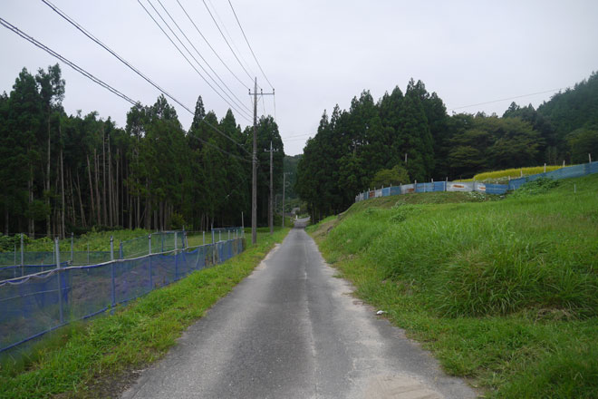 茨城県 金成林道への道
